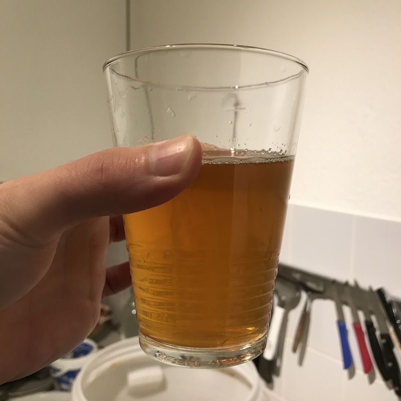 beer-after-fermentation-glass
