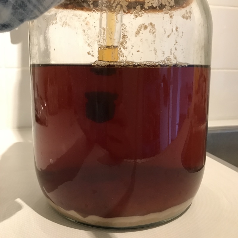 small-ferment-bottle