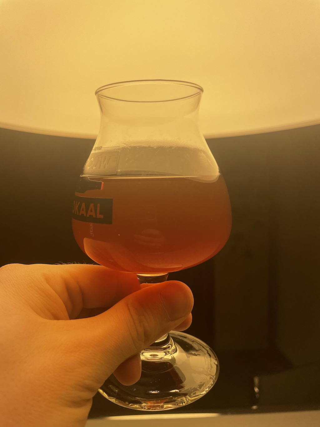 first-ferment-beer-color