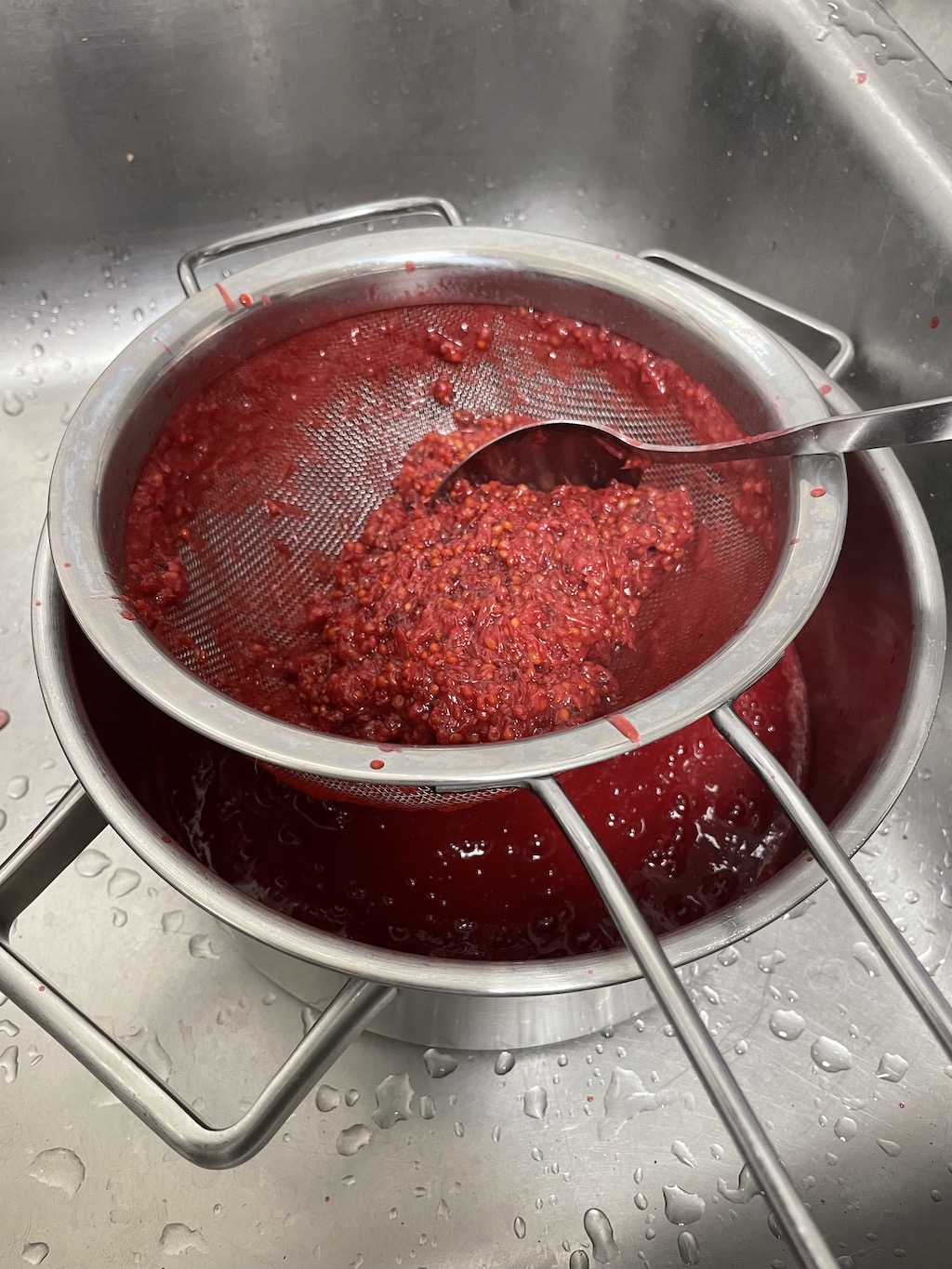 red-currant-sieve