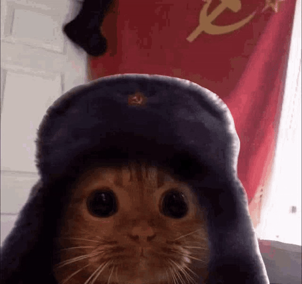 cat-communist